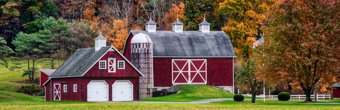red and white barn surrounded by trees